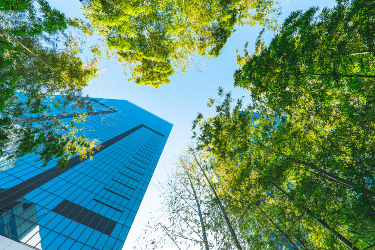 Corporate Carbon Offsetting in Canada: A Business Guide