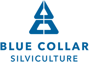 Blue Collar Reforestation