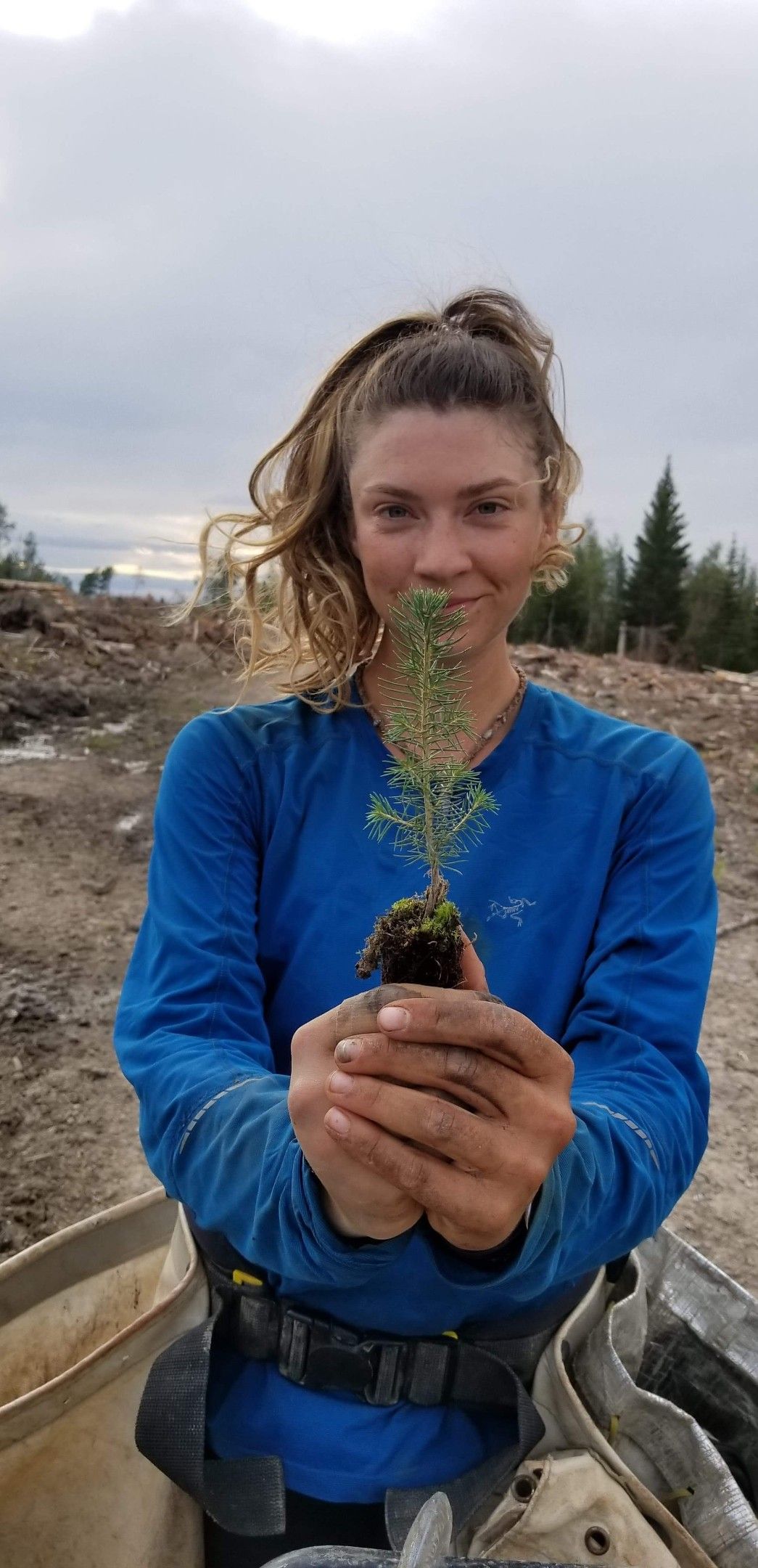 HOLDING TREE