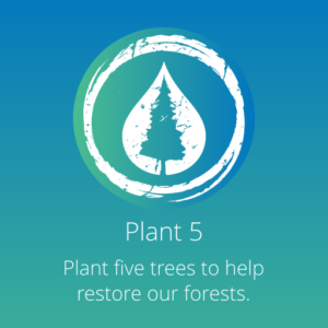 Plant 5 Trees | BGPP