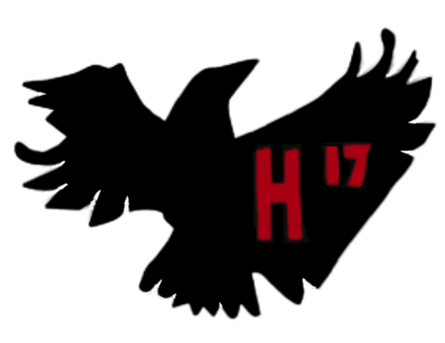 Hybrid 17 Logo