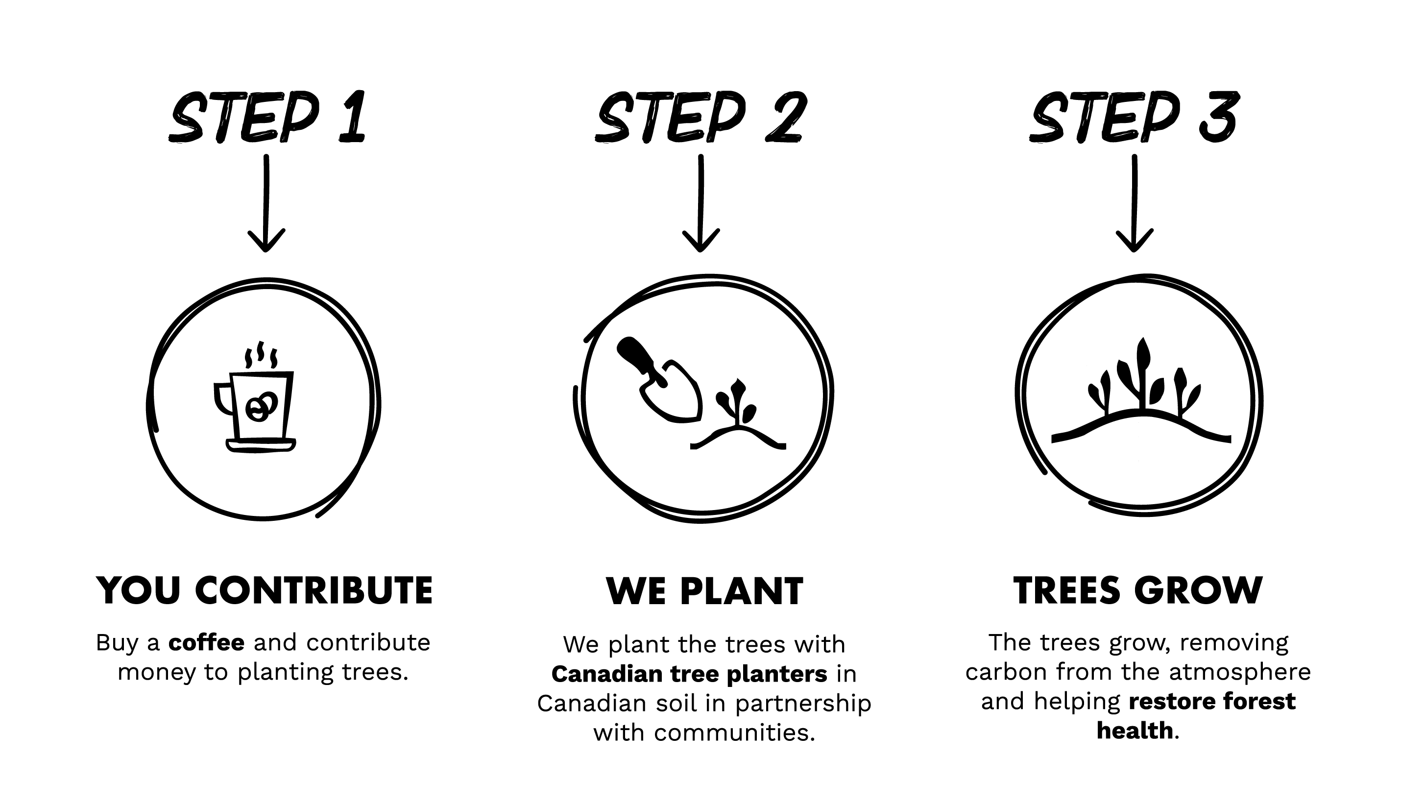 infrographic-black